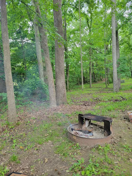Paris Landing State Park Campground Picture 2