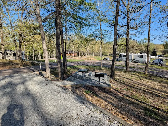 Paris Landing State Park Campground Picture 4