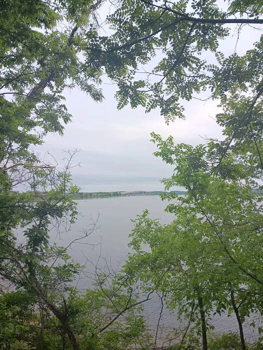 Paris Landing State Park Campground Picture 5