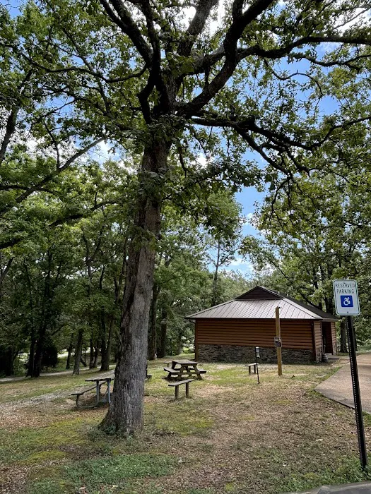 Paris Landing State Park Campground Picture 7