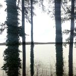 Big Eagle Campground