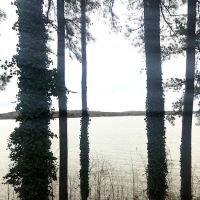 Big Eagle Campground ico