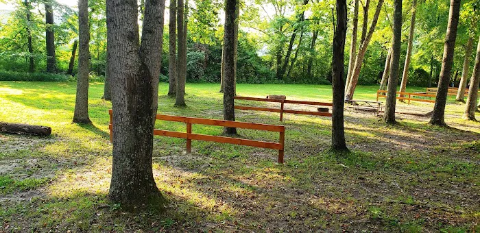 Paris Landing / Kentucky Lake KOA Holiday Picture 8