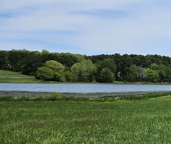 Tall Tree Lake Picture 2