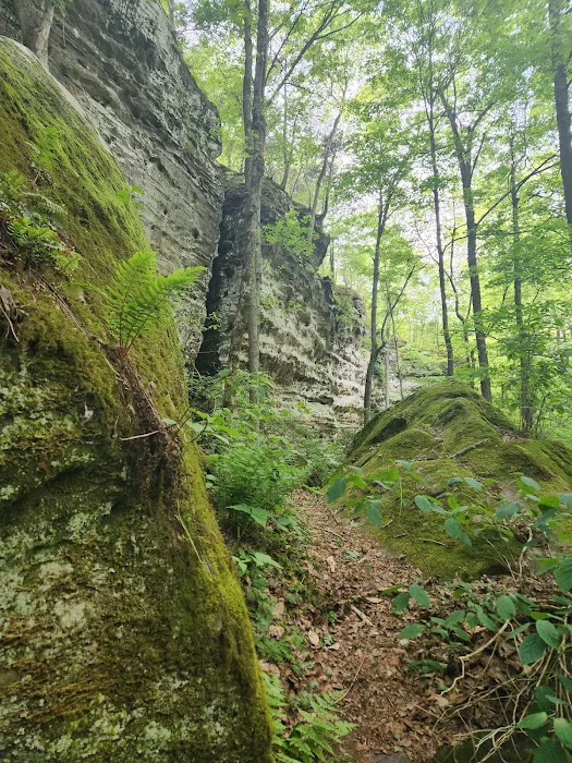 Tall Tree Lake Picture 6