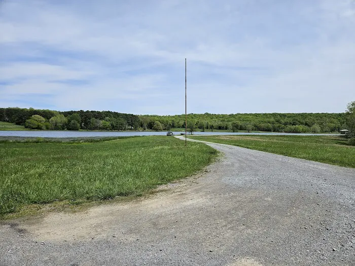 Tall Tree Lake Picture 3