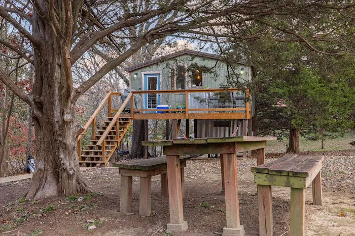 Jaybird Treehouse Picture 7