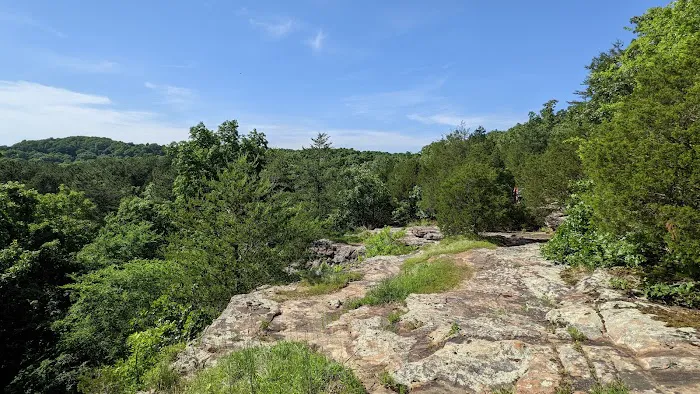 Ferne Clyffe State Park Campground Loop Picture 4