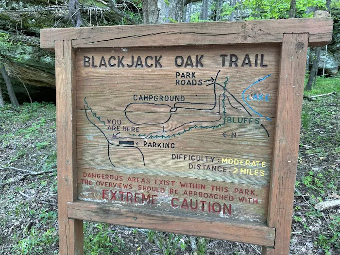 Ferne Clyffe State Park Campground Loop Picture 2