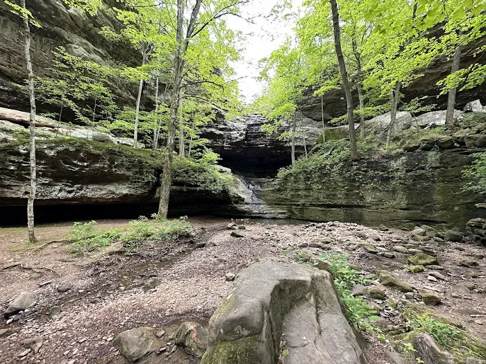 Ferne Clyffe State Park Campground Loop Picture 3