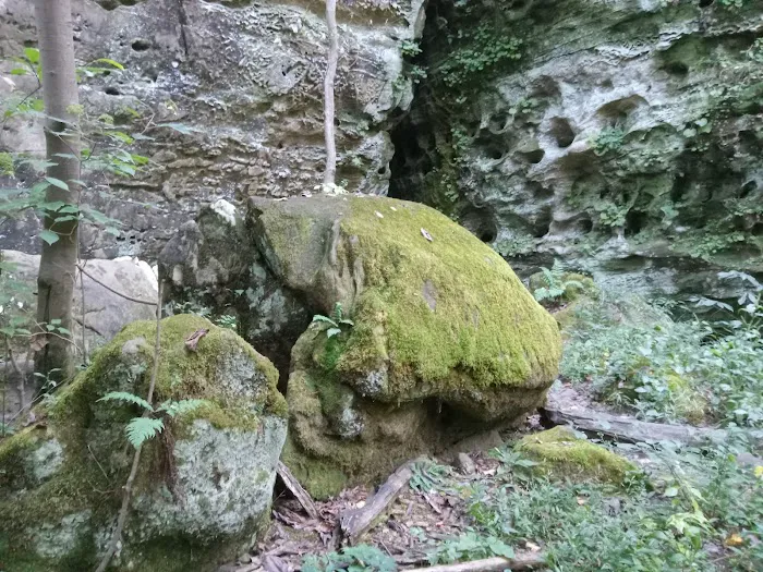 Ferne Clyffe State Park Campground Loop Picture 7