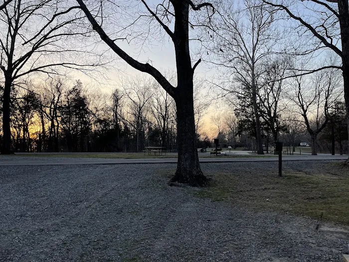 Ferne Clyffe State Park Campground Loop Picture 8
