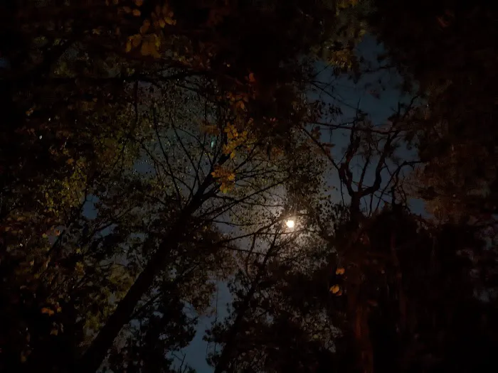 Turkey Ridge Campground Picture 2