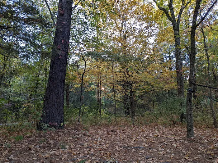 Turkey Ridge Campground Picture 8