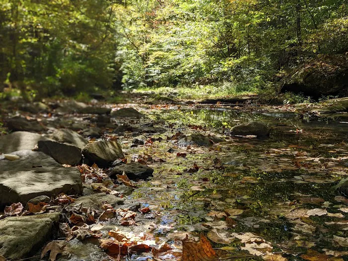 Turkey Ridge Campground Picture 4