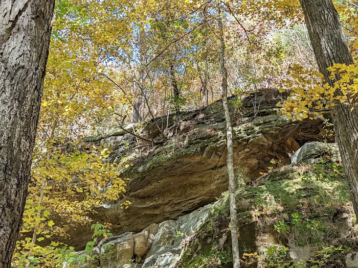 Turkey Ridge Campground Picture 7