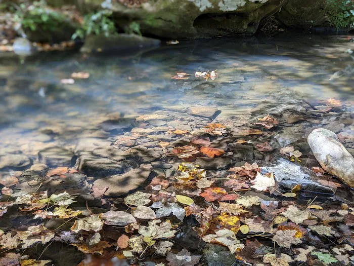 Turkey Ridge Campground Picture 5