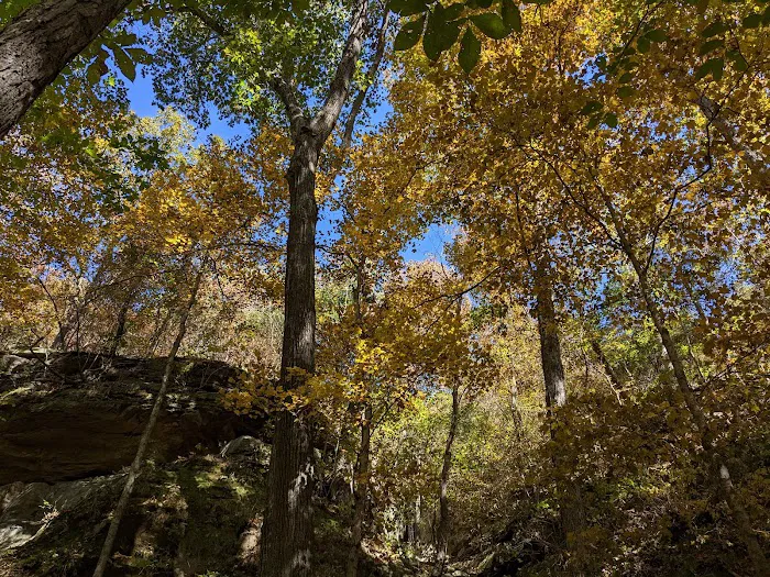 Turkey Ridge Campground Picture 9
