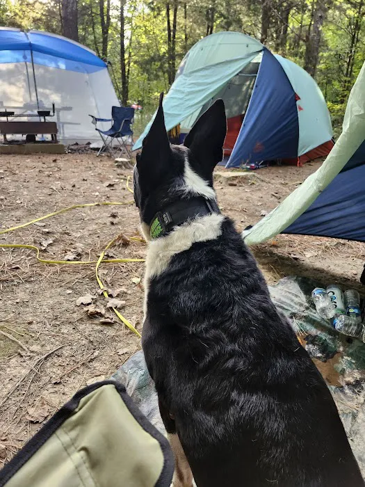 Turkey Ridge Campground Picture 10