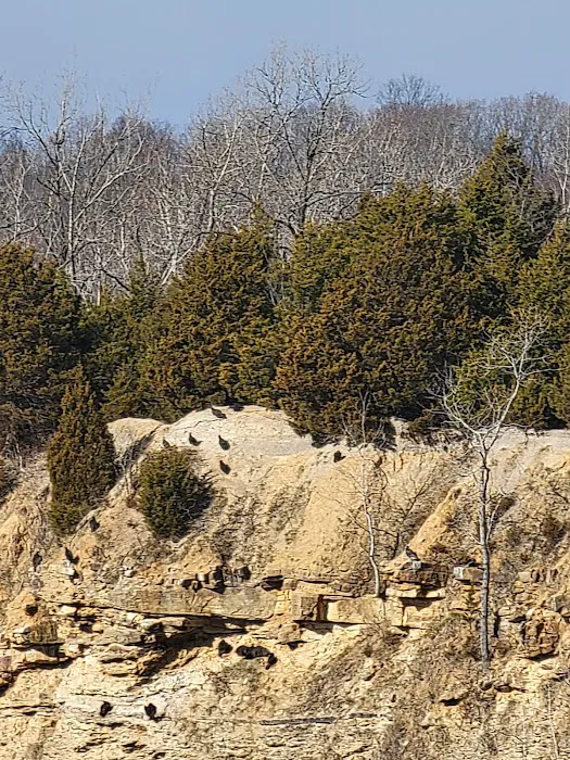 Hilltop Campground Picture 7