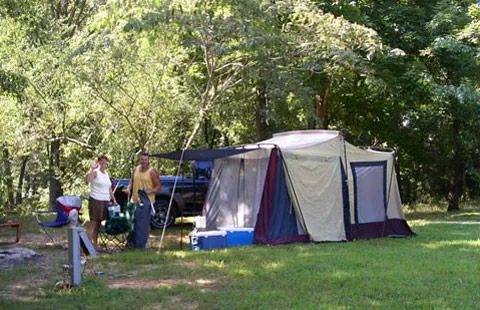 Paducah / I-24 / Kentucky Lake KOA Journey Picture 7