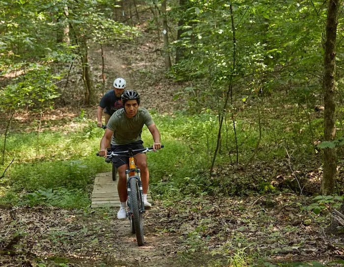 Kentucky Dam Village State Resort Park Campground Picture 2