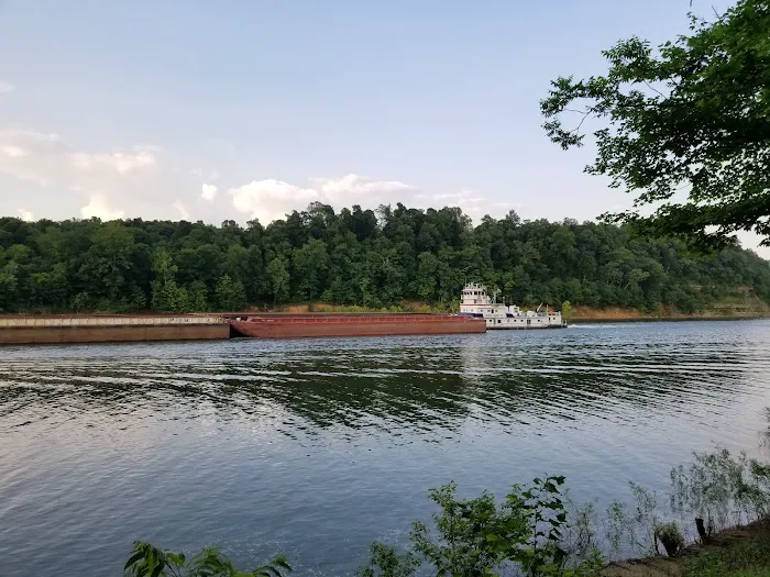 Campground on the lower Cumberland River Picture 2