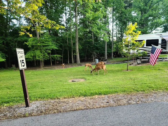 Canal Campground Picture 4