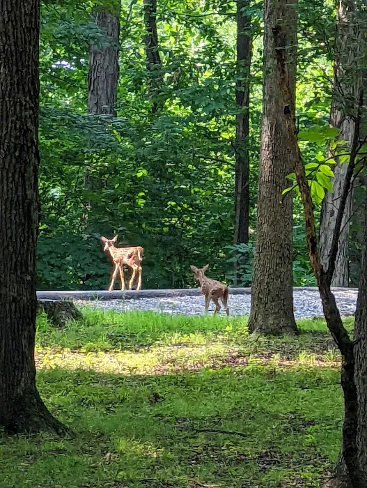 Canal Campground Picture 10