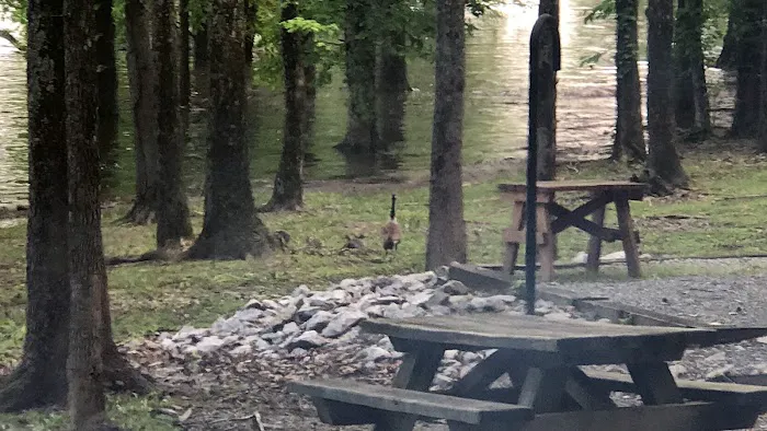 Eureka Recreation Area Picture 7