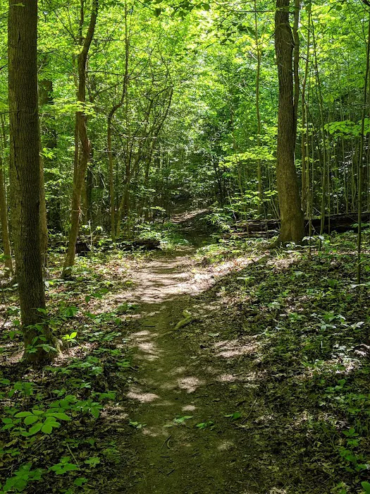 Twin Lakes Camp Picture 8