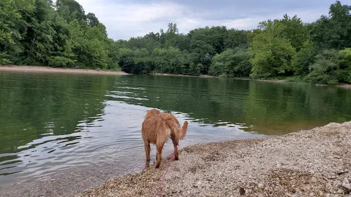 Twin Lakes Camp Picture 3