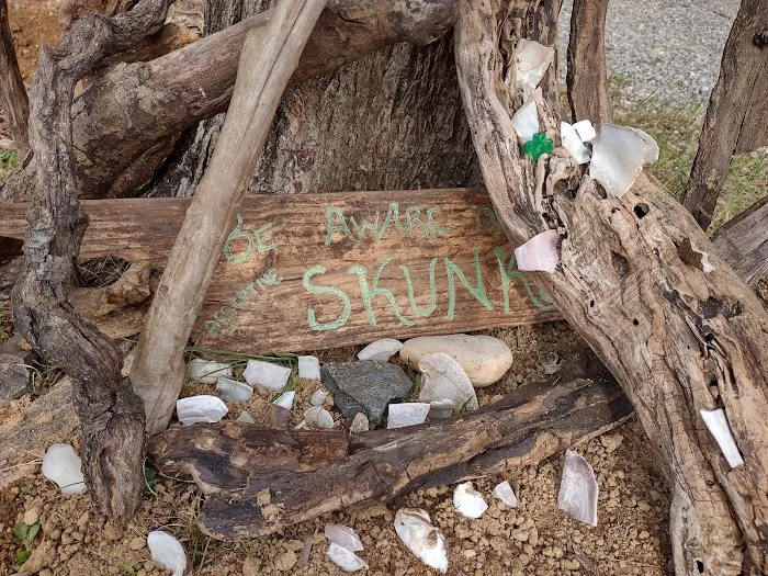 Twin Lakes Camp Picture 9