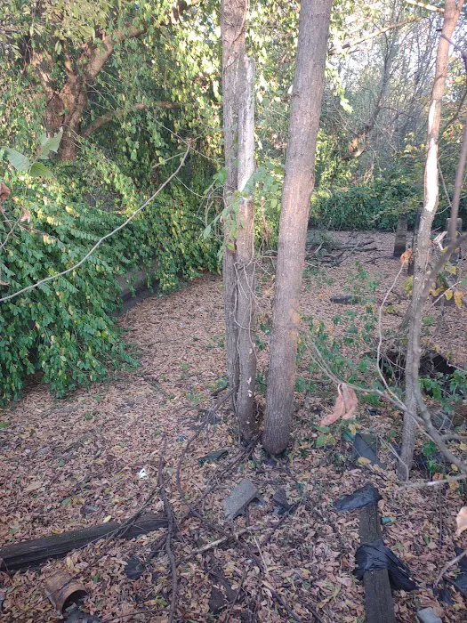 Main Brothers Campground Picture 4