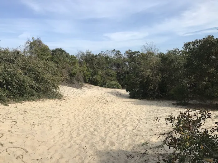 Stafford Beach Campground Picture 7