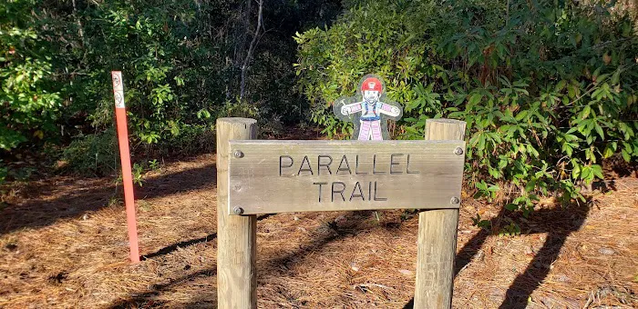 Stafford Beach Campground Picture 9