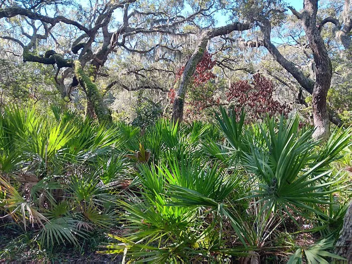 Sea Camp Campground Picture 3