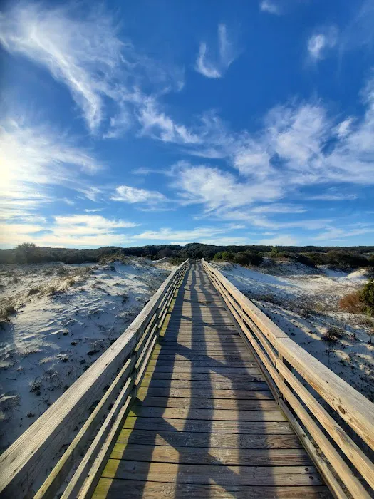 Sea Camp Campground Picture 6