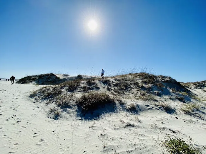 Sea Camp Campground Picture 10