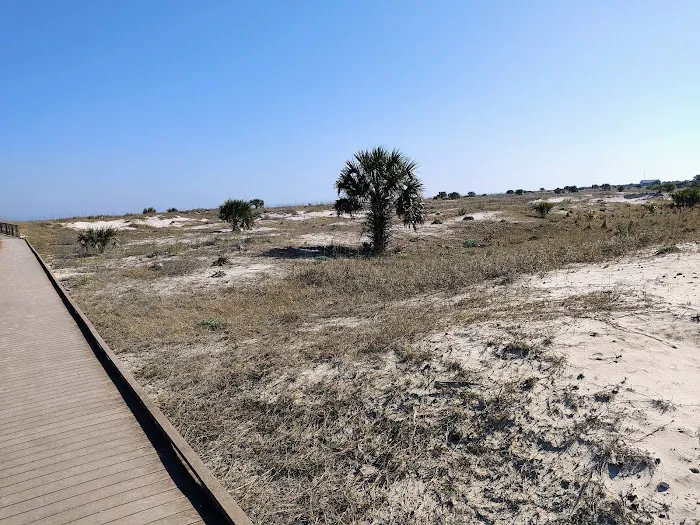 Atlantic Beach Campground Picture 1