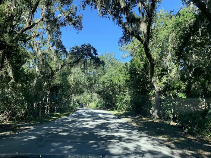 Atlantic Beach Campground Picture 10