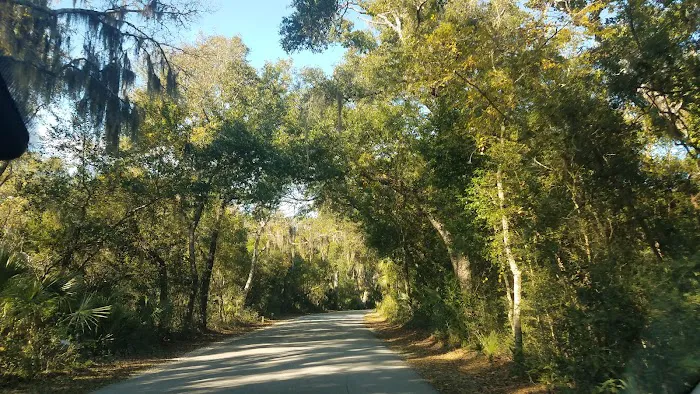 Fort Clinch Amelia River Campground Picture 4