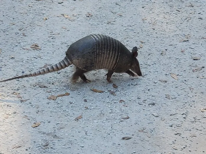 Fort Clinch Amelia River Campground Picture 9