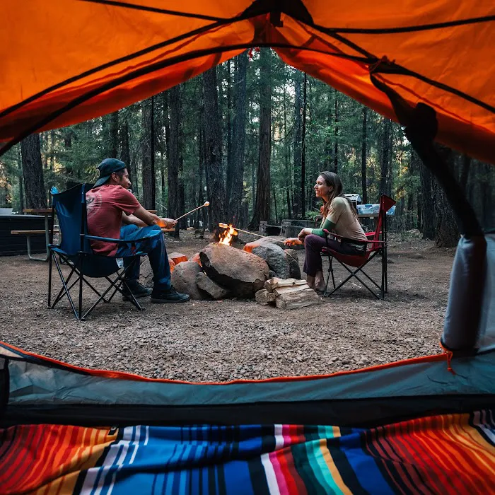 Jacksonville North / St. Marys KOA Holiday Picture 6