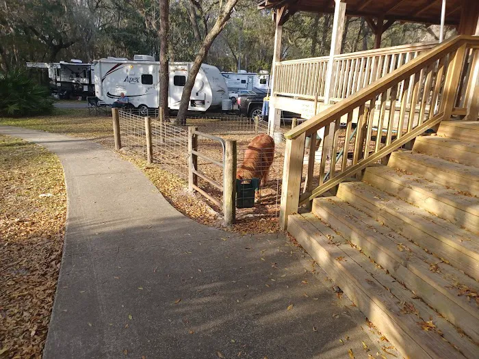 Country Oaks Campground & Rv Picture 2