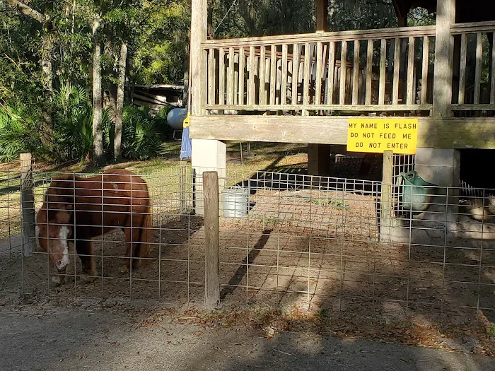 Country Oaks Campground & Rv Picture 9