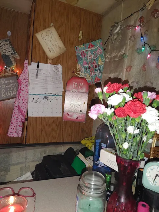 Lofton Creek Campground Picture 9