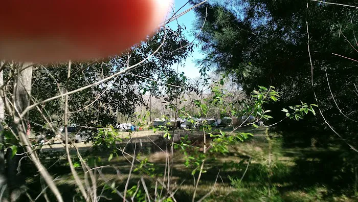 Lofton Creek Campground Picture 3