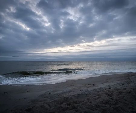 Amelia Beach