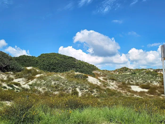 Amelia Beach Picture 10